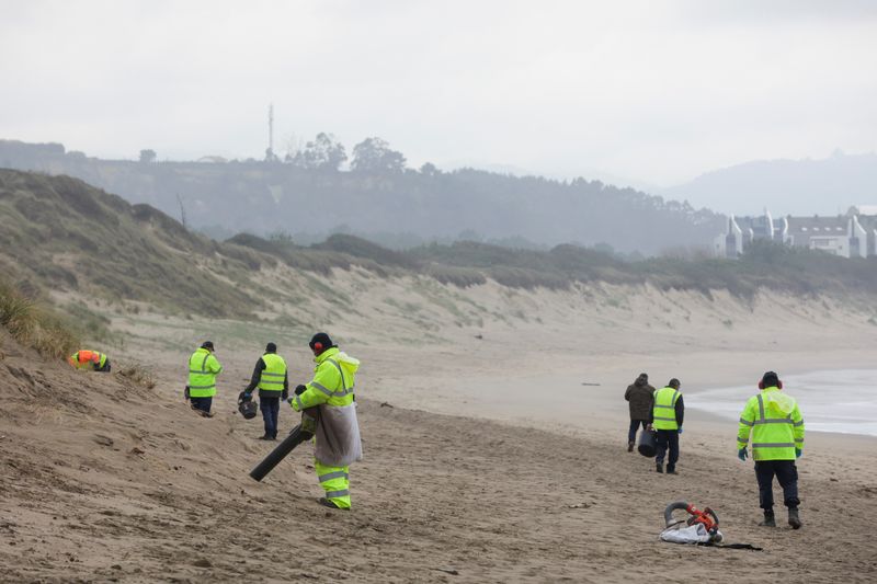 &copy; Reuters. A teams sent by Spain’s Environment ministry clean-up plastic pellets that have spread from the Spanish northwestern Galicia region to the Asturias region, triggering environmental concerns and a political blame game in San Juan beach in Asturias, Spain