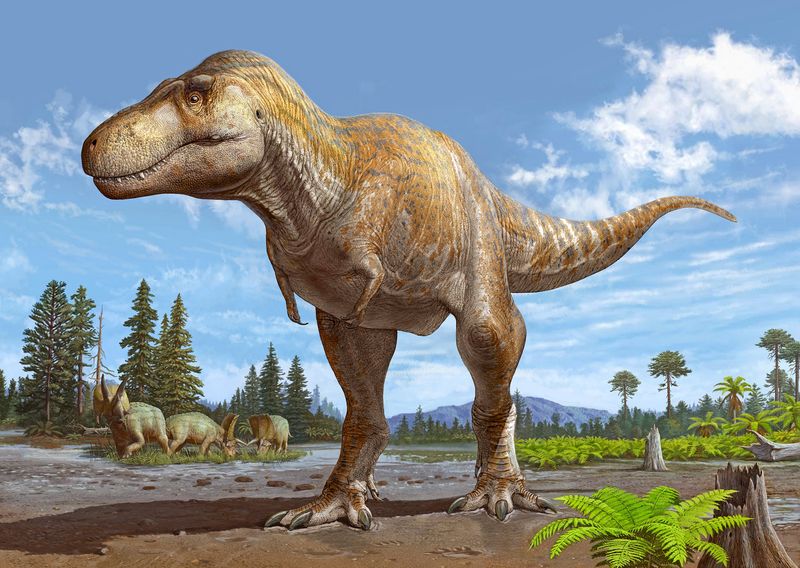 &copy; Reuters. Reconstrucción artística de la nueva especie de dinosaurio Tyrannosaurus mcraeensis, basada en un cráneo parcial recogido en Nuevo México, EE.UU. Sergei Krasinski/Handout via REUTERS