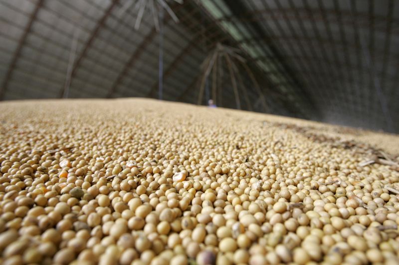 &copy; Reuters. Soja armazenada em Mato Grosso, Brasil