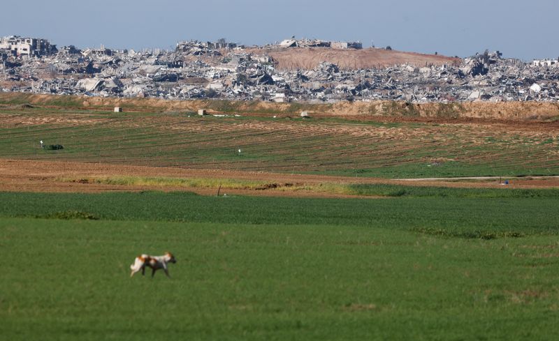 © Reuters. Destroyed buildings lie in ruin in north Gaza, amid the ongoing conflict between Israel and the Palestinian Islamist group Hamas, near the Israel-Gaza border, as seen from Israel, January 13, 2024. REUTERS/Amir Cohen