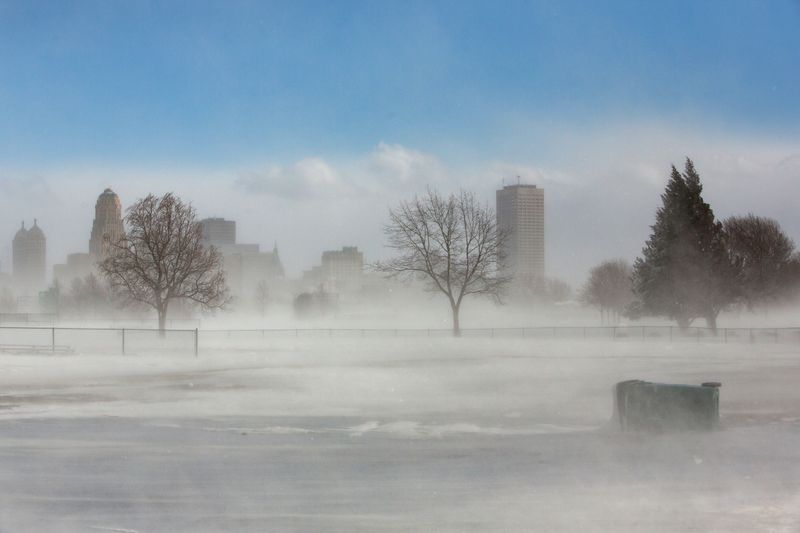 &copy; Reuters. FILE PHOTO: The city skyline is seen in drifting snow during the polar vortex in Buffalo, New York, U.S., January 31, 2019. REUTERS/Lindsay DeDario