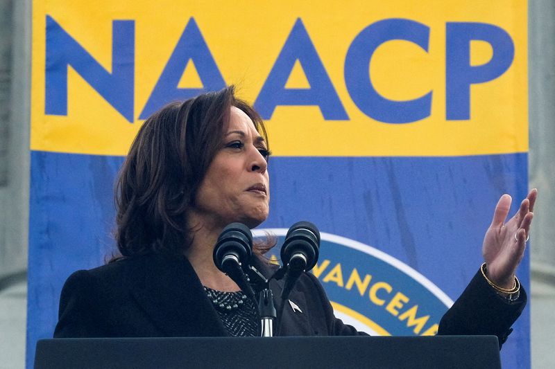 © Reuters. U.S. Vice President Kamala Harris gestures as she speaks outside the South Carolina State House in Columbia, South Carolina, U.S., January 15, 2024.  REUTERS/Kevin Wurm 