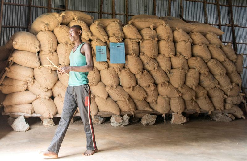 &copy; Reuters. FILE PHOTO: A worker walks past sacks of coffee beans at a storage unit within the Tilamo cooperative of Shebedino district in Sidama, Ethiopia November 29, 2018. Picture taken November 29, 2018. REUTERS/Maheder Haileselassie//File Photo