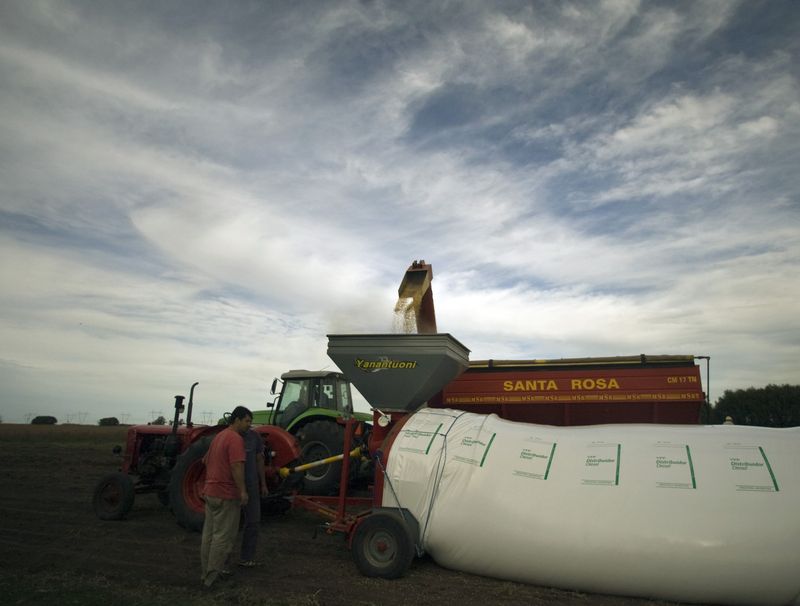 &copy; Reuters. Agricultores argentinos enchem um silo de sacos com soja na província de Buenos Aires
03/04/2010
REUTERS/Enrique Marcarian
