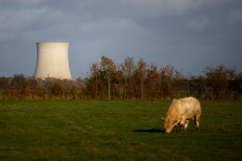 &copy; Reuters. Vue sur l'une des tours de refroidissement de la centrale nucléaire de Saint-Laurent-Des-Eaux à Muides, près d'Orléans. /Photo prise le 19 novembre 2023/REUTERS/Sarah Meyssonnier