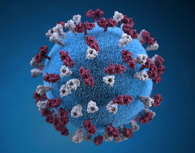 &copy; Reuters. An illustration provides a 3D graphical representation of a spherical-shaped, measles virus particle studded with glycoprotein tubercles in this handout image obtained by Reuters April 9, 2019.  Centers for Disease Control and Prevention (CDC)/Handout via