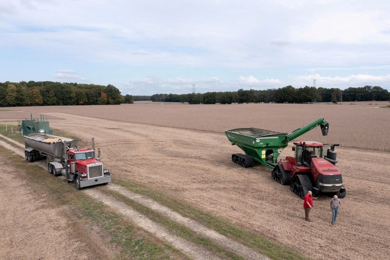 &copy; Reuters. FILE PHOTO: Two people converse in a soybean field during harvest season in Deerfield, Ohio, U.S., October 7, 2021.  Picture taken with a drone. REUTERS/Dane Rhys/File Photo