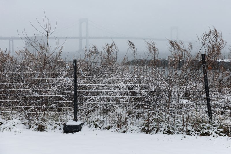 © Reuters. A snow covered fence stands as the The Throgs Neck Bridge suspension bridge sits shrouded during winter weather in the Queens borough of New York City, U.S., January 19, 2024.  REUTERS/Shannon Stapleton