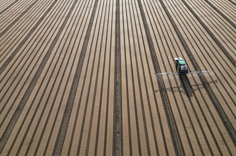 &copy; Reuters. Un agriculteur conduit son tracteur sur son champ à Divatte-sur-Loire, près de Nantes, en France. /Photo prise le 5 octobre 2023/REUTERS/Stéphane Mahé