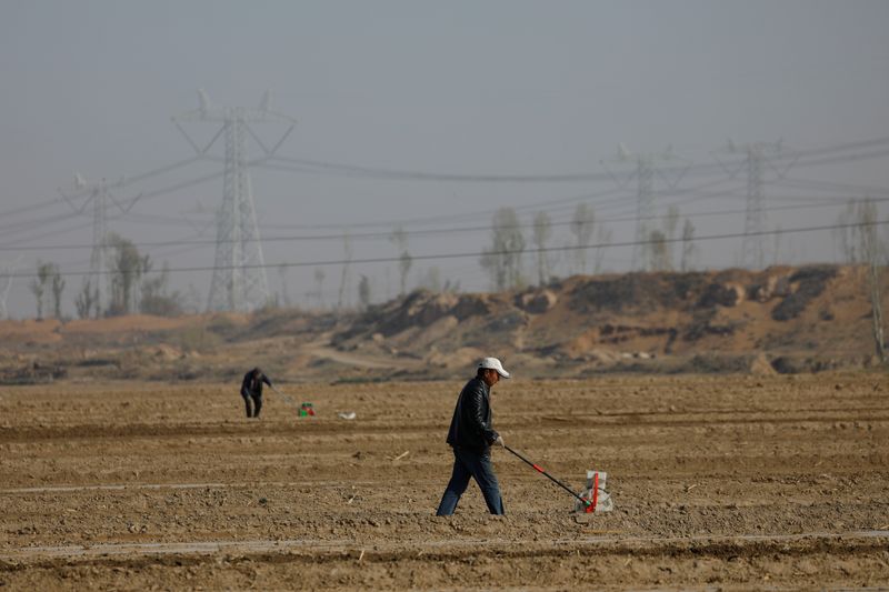 &copy; Reuters. Agricultores semeiam milho em Wuwei, China