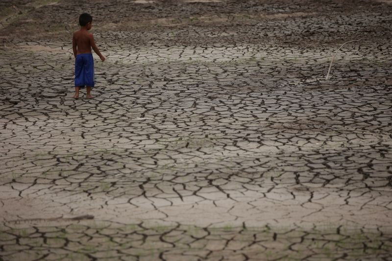 &copy; Reuters. FOTO DE ARCHIVO: Un niño camina en una zona seca del arroyo Igarape do Taruma que desemboca en el río Negro, mientras el nivel del agua en un importante puerto fluvial en la selva amazónica de Brasil alcanzó su punto más bajo en al menos 121 años el