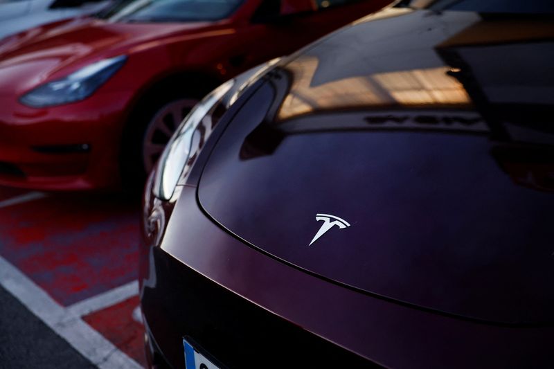 © Reuters. Logo da Tesla em veículo elétrico na Espanha
30/10/2023 REUTERS/Vincent West/Arquivo