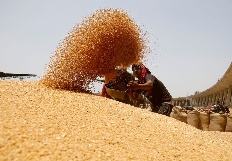 &copy; Reuters. Trabalhador peneira trigo antes de encher sacos em mercado nos arredores de Ahmedabad