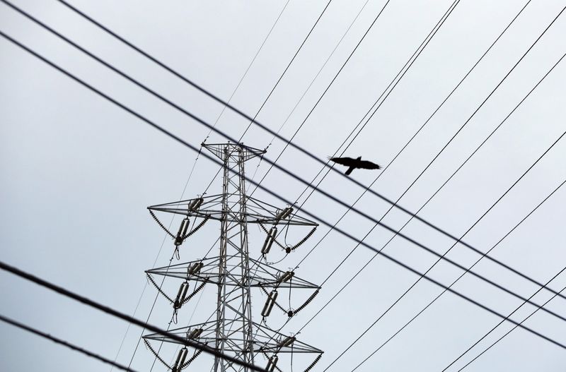 &copy; Reuters. Linhas de transmissão de energia elétrica. REUTERS/Yuya Shino/File Photo