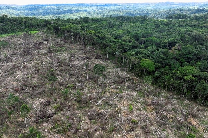 &copy; Reuters. FILE PHOTO: An aerial view shows a deforested area during an operation to combat deforestation near Uruara, Para State, Brazil January 21, 2023. REUTERS/Ueslei Marcelino/