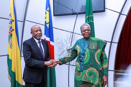 Namibia interim president says no plan to run in this year's election By Reuters