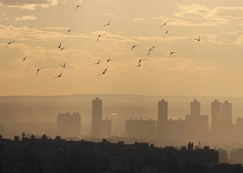 Egypt January non-oil business shrinks on inflation, Gaza-PMI