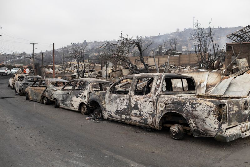 © Reuters. The remains of burned cars are lined up on a street, following the spread of wildfires in Vina del Mar, Chile, February 4, 2024. REUTERS/ Sofia Yanjari