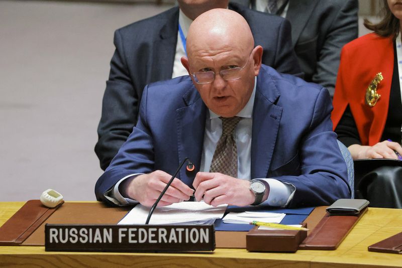 &copy; Reuters. سفير روسيا لدى الأمم المتحدة فاسيلي نيبينزيا يتحدث خلال اجتماع لمجلس الأمن الدولي بمقر الأمم المتحدة في نيويورك في يوم 16 أكتوبر تشرين الأول