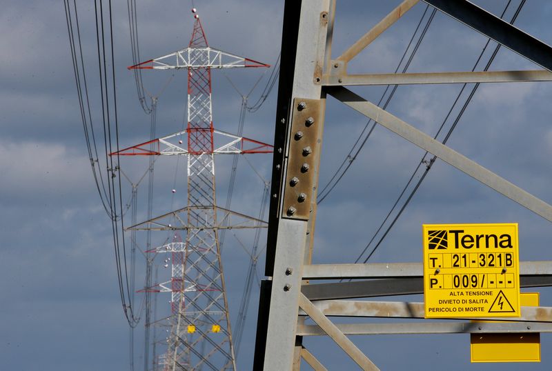 &copy; Reuters. Terna high voltage pylons are seen in Montalto di Castro, central Italy, April 27, 2016. REUTERS/Max Rossi/ File Photo