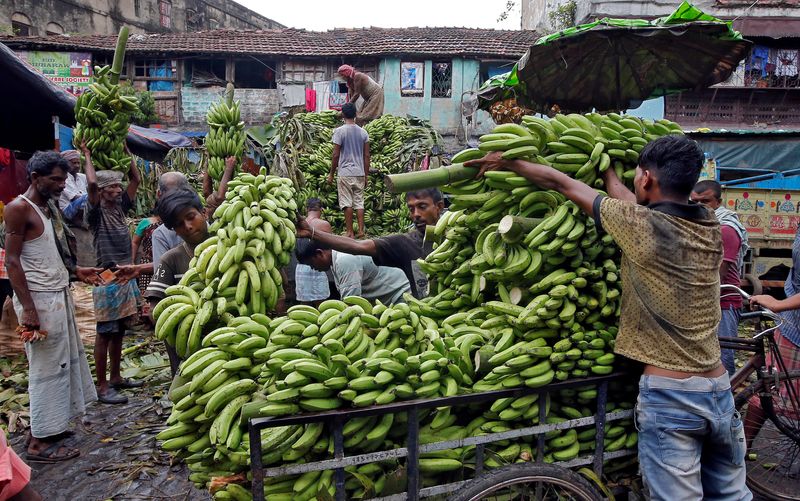 &copy; Reuters. Labourers load bananas into a trishaw to transport them for sale at a wholesale fruit market in Kolkata, India, August 29, 2018. REUTERS/Rupak De Chowdhuri