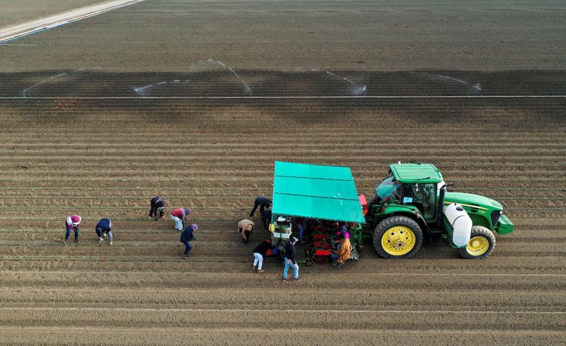 US farm spending bill must include climate and hunger money, say key Democrats