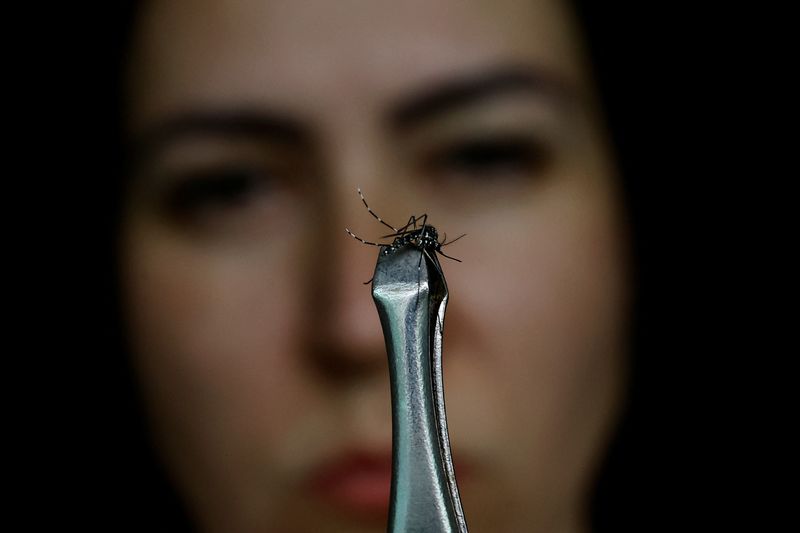 &copy; Reuters. FOTO DE ARCHIVO: La vendedora Juliana Machado inspecciona un mosquito Aedes aegypti encontrado en su casa durante un brote de dengue en Brasilia, Brasil 6 de febrero de 2024. REUTERS/Ueslei Marcelino/Archivo