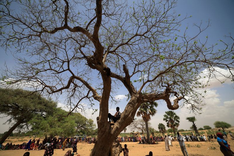 &copy; Reuters. صبي سوداني من اللاجئين الذين فروا من دارفور بالسودان بسبب العنف يجلس فوق فرع شجرة بينما ينتظر لاجئون سودانيون آخرون الحصول على مساعدات من م