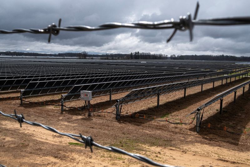 © Reuters. Solar panels stand on sandy soil located on Dave Duttlinger's farmland, Wheatfield, Indiana, April 5, 2024. REUTERS/Jim Vondruska