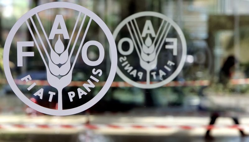 &copy; Reuters. FOTO DE ARCHIVO REFERENCIAL: El logotipo de la Organización de las Naciones Unidas para la Agricultura y la Alimentación (FAO, por sus siglas en inglés) en su sede en Roma, Italia, el 31 de agosto de 2005. REUTERS/Alessandro Bianchi 