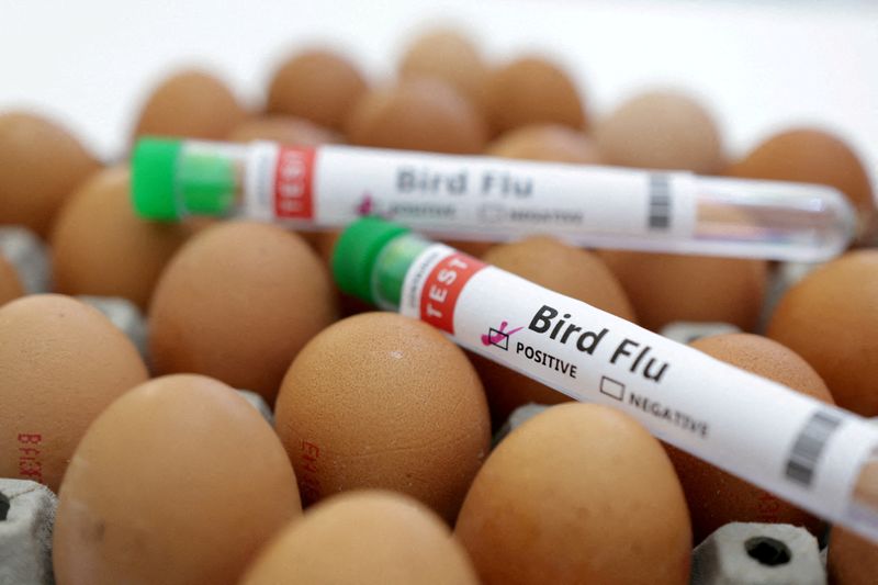 &copy; Reuters. أنبوبتا اختبار تحملان علامة تدل على الإصابة بإنفلونزا الطيور بجوار بيض في صورة توضحيحة من أرشيف رويترز.