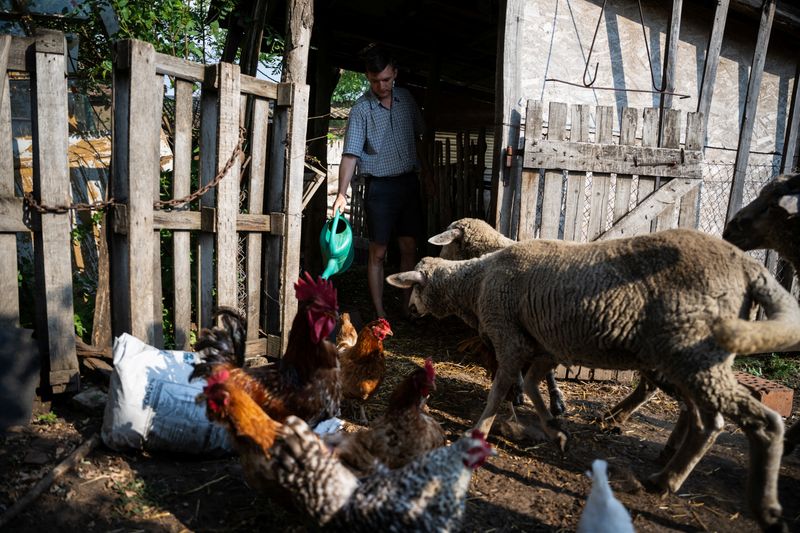 &copy; Reuters. Mihaly Pogany, 29 gives water to his animals, at his farm near Kecskemet, Hungary, July 16, 2023. REUTERS/Marton Monus        