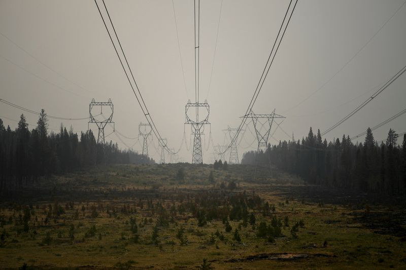 &copy; Reuters. FILE PHOTO: Green foliage underneath Electricity Pylons divides two sections of burnt out forest in the aftermath of the Bootleg Fire, in Sycan Estates, Oregon, U.S., July 24, 2021. REUTERS/Mathieu Lewis-Rolland/File Photo