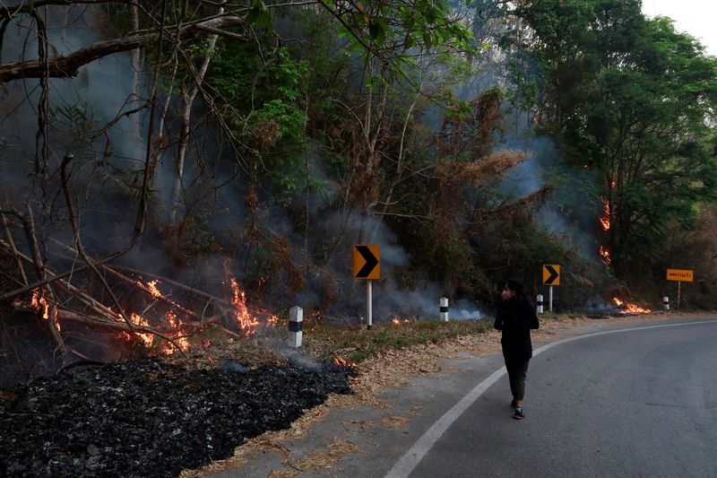 &copy; Reuters. صحفي يرتدي قناعا قرب حريق غابات في تايلاند في صورة من أرشيف رويترز.
