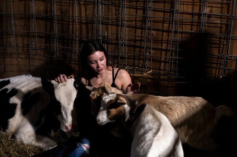 &copy; Reuters. Emma Maiers sits with cows and goats during a cow cuddle session at Luz Farms near Monee, Illinois, U.S. April 15, 2024. REUTERS/Jim Vondruska