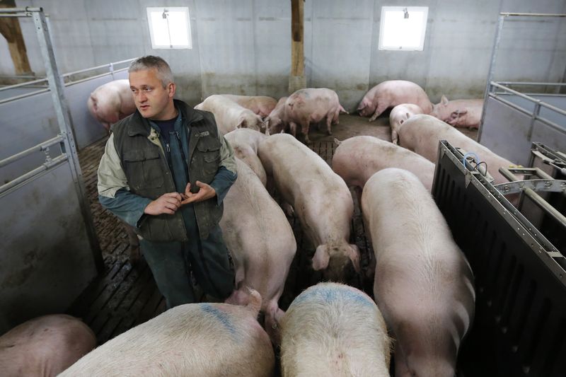 &copy; Reuters. FOTO DE ARCHIVO: El porcinocultor francés Frederic Bossard posa en su granja de cerdos en Lusanger, oeste de Francia. 6 de noviembre de 2013. REUTERS/Stephane Mahe/Archivo