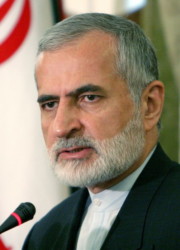 © Reuters. كمال خرازي مستشار الزعيم الأعلى الإيراني يتحدث في طهران بصورة من أرشيف رويترز.