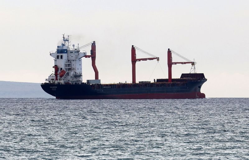 &copy; Reuters. شخص يقف على متن سفنية ترفع العلم الأمريكي تحمل مساعدات متجهة إلى رصيف عائم بنته الولايات المتحدة تُبحر من ميناء لارنكا يوم التاسع من مايو أي