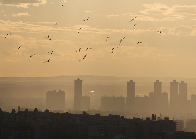 &copy; Reuters. Birds fly during sunset with Cairo skyline visible in the background, during foggy cold weather, Egypt February 1, 2024. REUTERS/Amr Abdallah Dalsh/File Photo