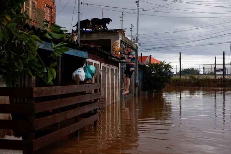 &copy; Reuters. Enchente em Eldorado do Sul (RS)
 8/5/2024   REUTERS/Amanda Perobelli