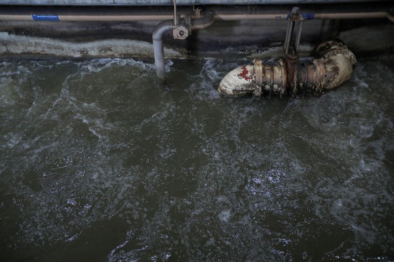 © Reuters. FILE PHOTO: Wastewater is seen inside a Central Marin Sanitation Agency facility in San Rafael, California, U.S., March 29, 2023. REUTERS/Nathan Frandino/File Photo