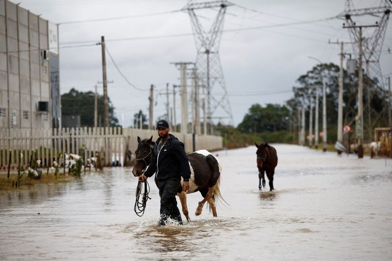 &copy; Reuters. Voluntário resgata cavalos em rua alagada de Eldorado do Sul, no Rio Grande do Sul
13/05/2024
REUTERS/Amanda Perobelli