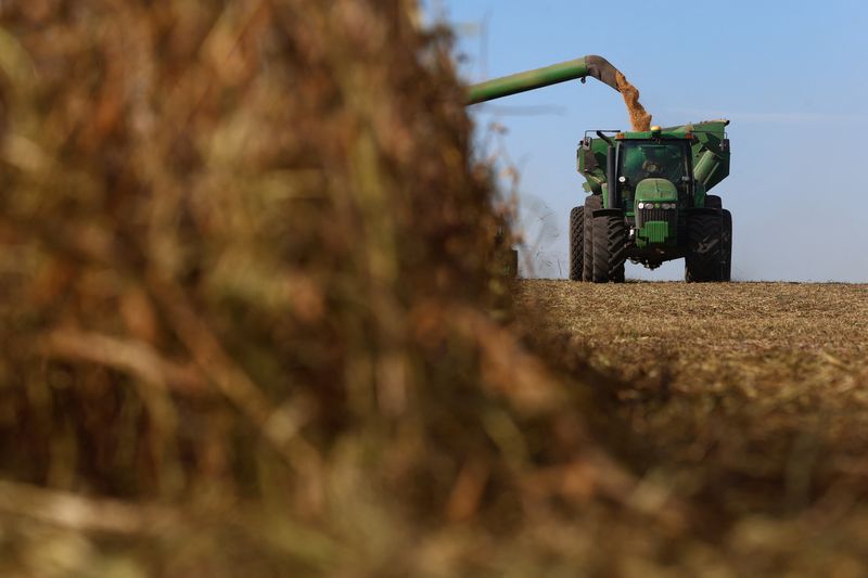 &copy; Reuters. Produtores de soja de Argentina. REUTERS/Matias Baglietto