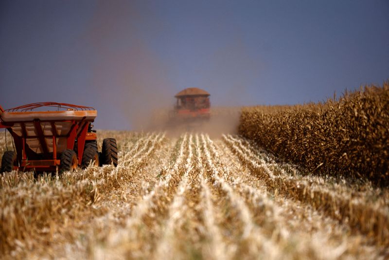 &copy; Reuters. Colheita de milho próxima a Brasília, Brasil