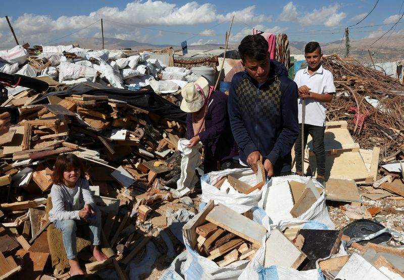 © Reuters. FILE PHOTO: Syrian refugees fill bags with scrap wood to sell for bonfires at an informal camp in the Bekaa Valley, Lebanon October 18, 2022. REUTERS/Mohamed Azakir/File Photo
