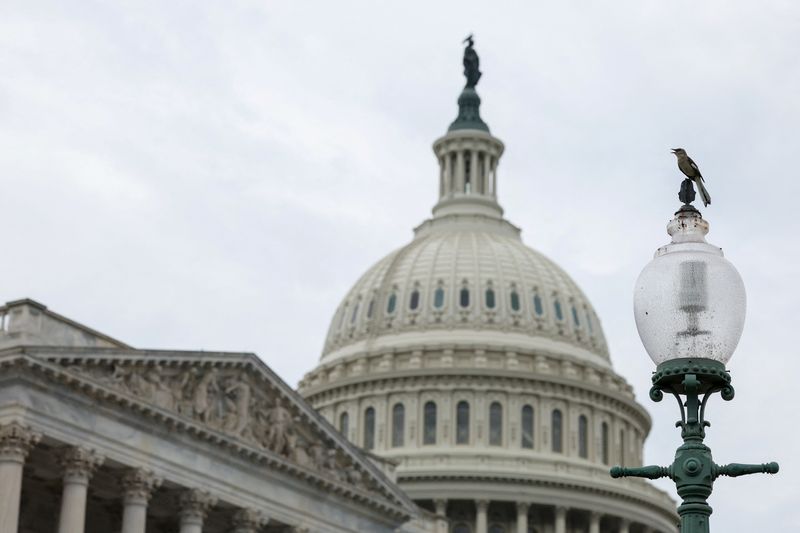 &copy; Reuters. A bird sits on a lamp on Capitol Hill in Washington, U.S., May 23, 2024. REUTERS/Amanda Andrade-Rhoades/ File Photo