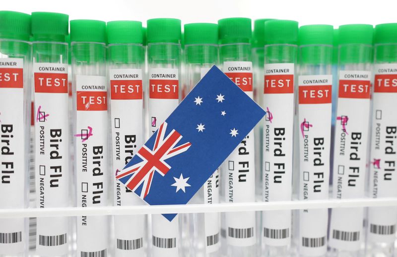 &copy; Reuters. Test tubes labelled "Bird Flu" and a piece of paper in the colours of the Australian national flag are seen in this picture illustration, January 14, 2023. REUTERS/Dado Ruvic/Illustration/File photo