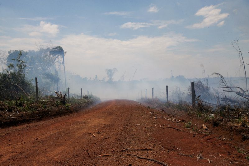 &copy; Reuters. FILE PHOTO: Smoke rises in the middle of an illegal road made during the deforestation of the Yari plains, in Caqueta, Colombia March 2, 2021. REUTERS/Luisa Gonzalez/File Photo