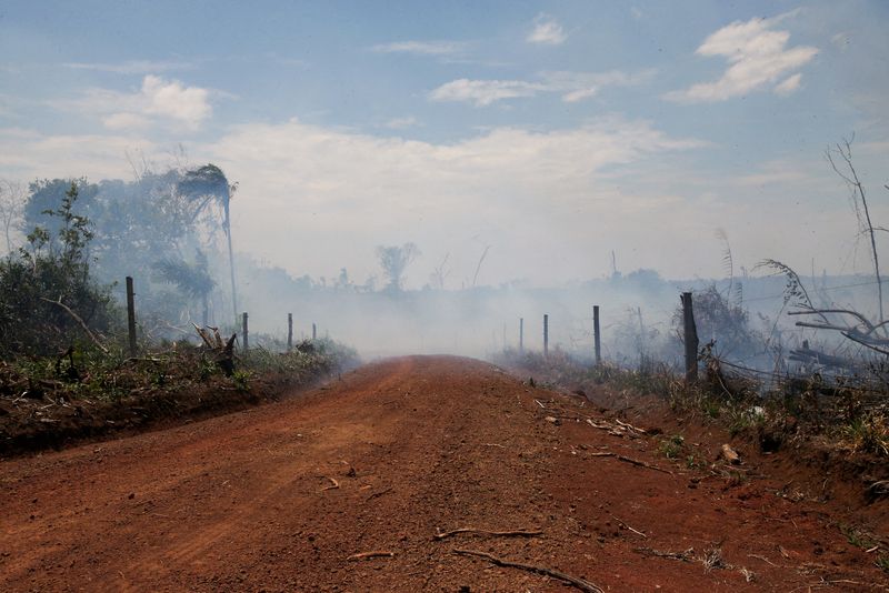 © Reuters. Estrada ilegal feita durante o desmatamento da planície de Yari, em Caquetá, Colômbia
02/03/2021
REUTERS/Luisa Gonzalez