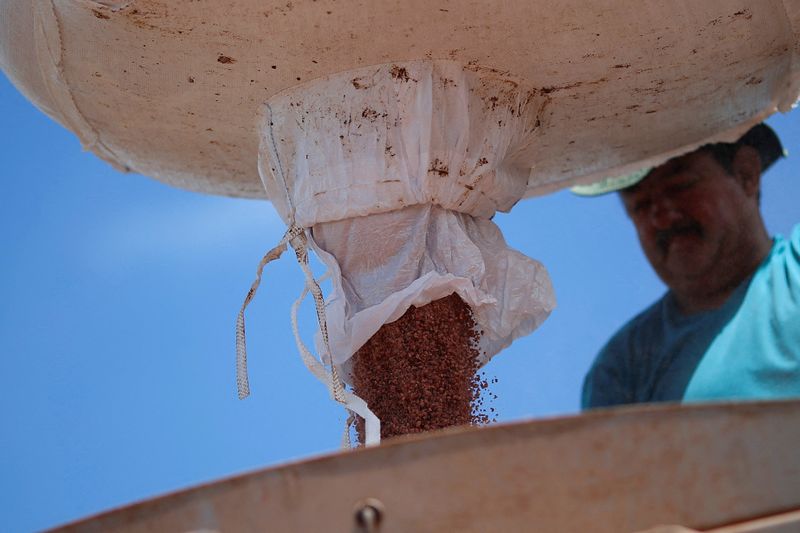 © Reuters. Trabalhador agrícola carrega trator com fertilizante, perto de Brasília
15/02/2022
REUTERS/Adriano Machado